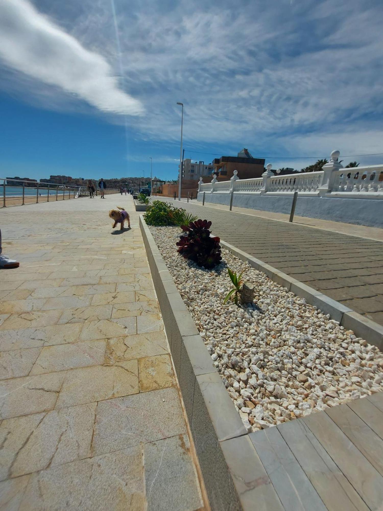Maravillosa Terraza Con Vistas Al Mar, La Mata Торевиеха Екстериор снимка